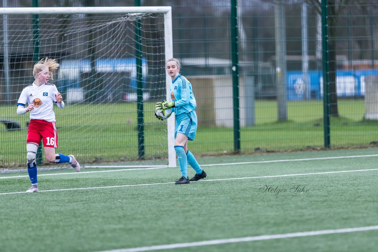 Bild 146 - wBJ HSV - F VfL Jesteburg : Ergebnis: 6:1